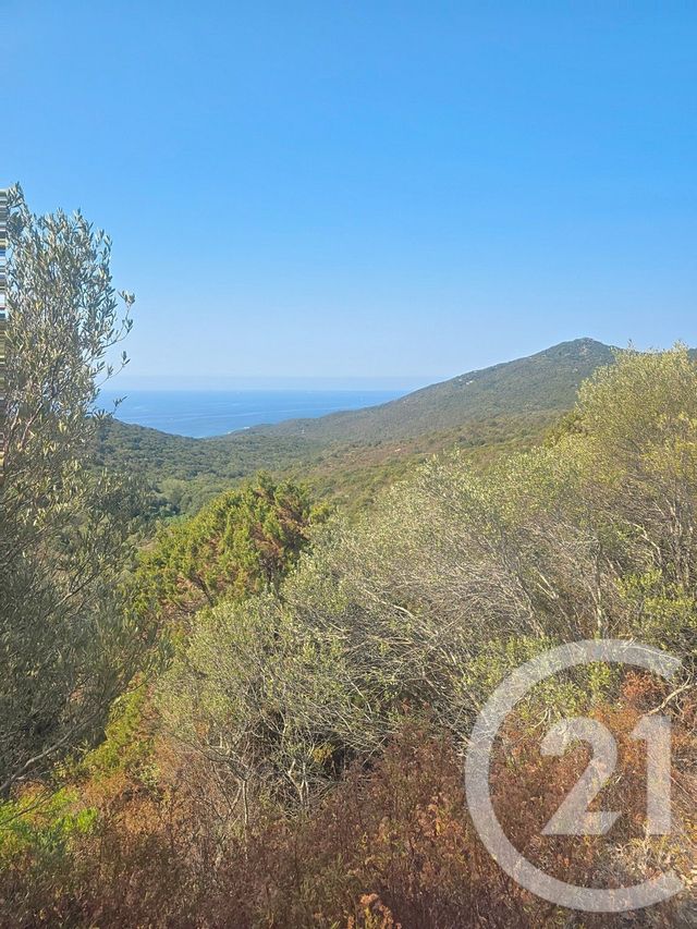 terrain à vendre - 45178.0 m2 - COTI CHIAVARI - 201 - CORSE - Century 21 Actif Immobilier