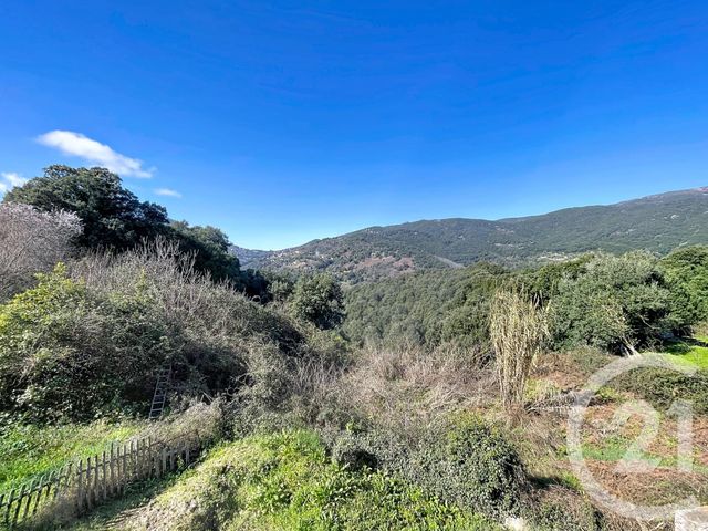 maison à vendre - 5 pièces - 230.0 m2 - MURZO - 201 - CORSE - Century 21 Actif Immobilier