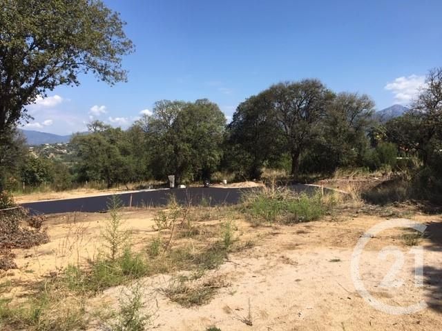 Afficher la photo en grand terrain à vendre - 839.0 m2 - PORTICCIO - 20 - CORSE - Century 21 Actif Immobilier