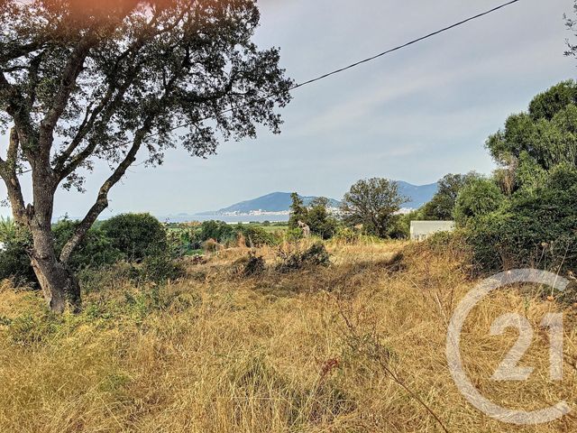 Afficher la photo en grand terrain à vendre - 1066.0 m2 - PORTICCIO - 20 - CORSE - Century 21 Actif Immobilier