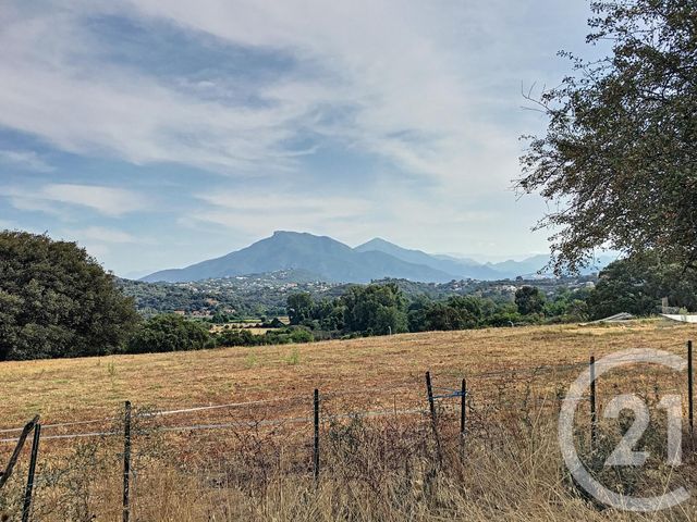 Afficher la photo en grand terrain à vendre - 1066.0 m2 - PORTICCIO - 20 - CORSE - Century 21 Actif Immobilier