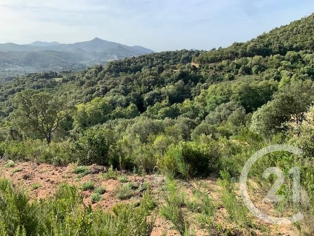 terrain à vendre - 4700.0 m2 - OCANA - 201 - CORSE - Century 21 Actif Immobilier
