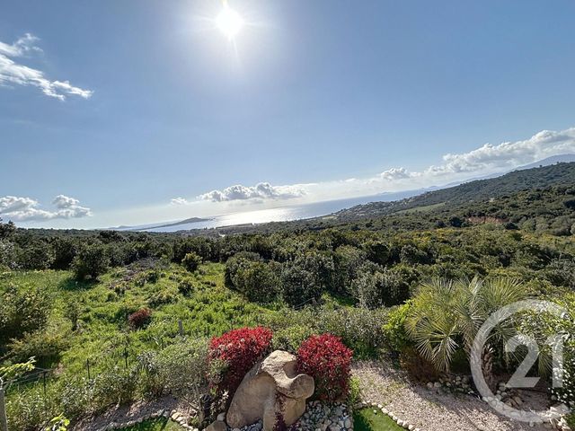 maison à vendre - 8 pièces - 209.65 m2 - ALBITRECCIA - 201 - CORSE - Century 21 Actif Immobilier